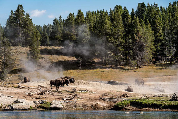 Yellowstone NP, Wyoming