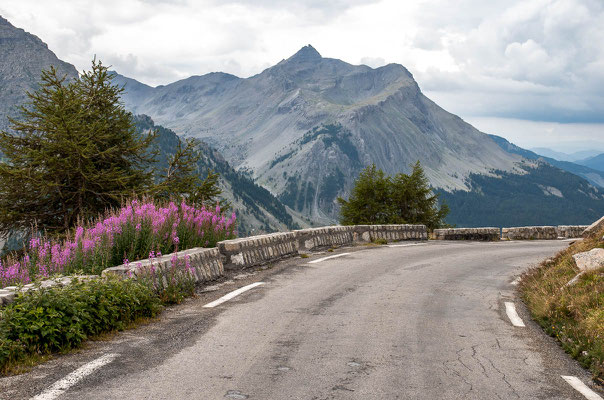 Col de la Cayolle (2.327m), Frankreich