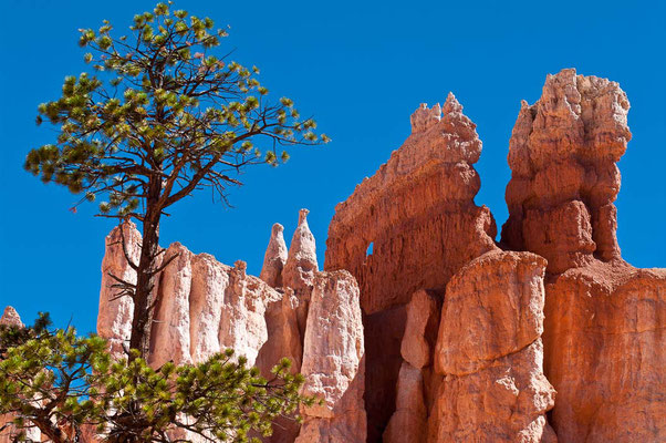 Bryce Canyon NP, Utah