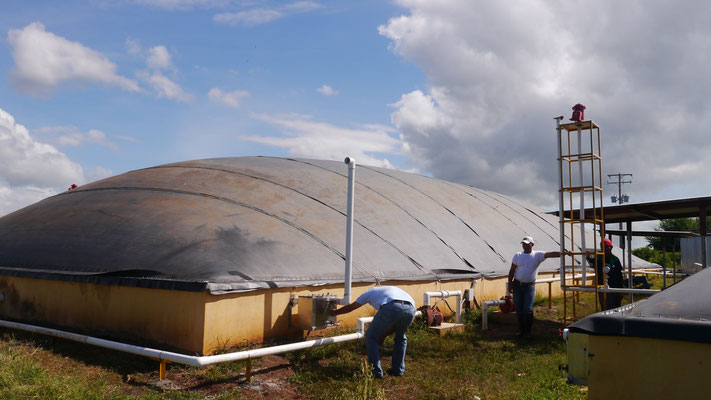 Biodigestor Protena - fábrica de plasma - Nicaragua