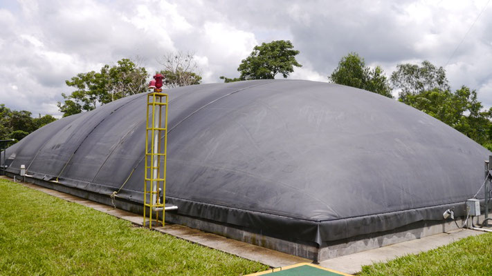 Biodigestor en industria de lácteos - covered lagoon digester for dairy waste and wastewater