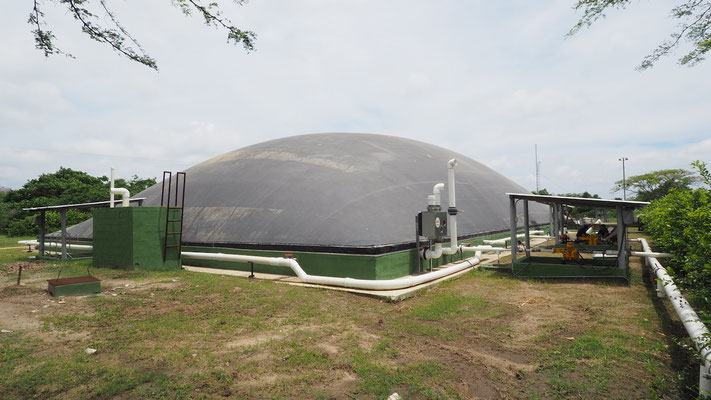 Lagoon digester - slaughterhouse / Biodigestor para matadero frigorifico  de reses 