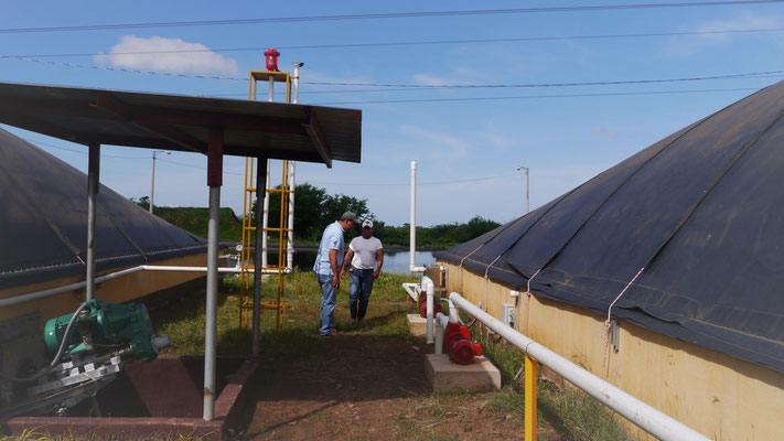 Biodigestor Protena - fábrica de plasma - Nicaragua