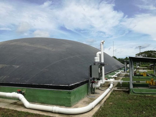 Biodigestor en matadero - rastro - frigorifico de reses - Biodigestor en matadero de reses - cerdos - covered lagoon digester for slaughterhouse waste