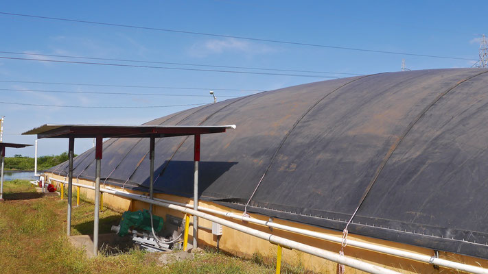 Biodigestor Protena - fábrica de plasma - Nicaragua