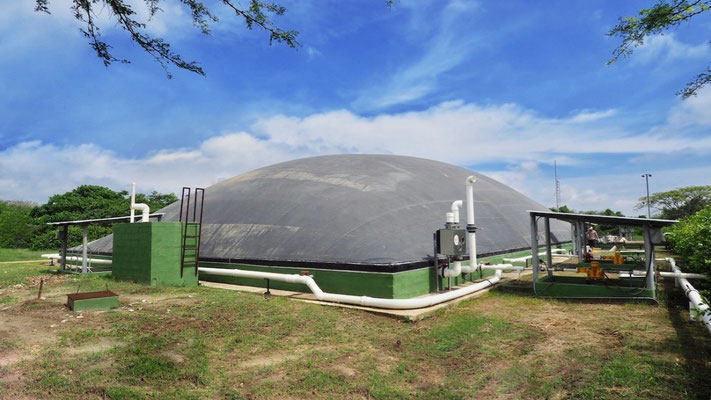 Biodigestor en matadero - rastro - frigorifico de reses - Biodigestor en matadero de reses - cerdos - covered lagoon digester for slaughterhouse waste