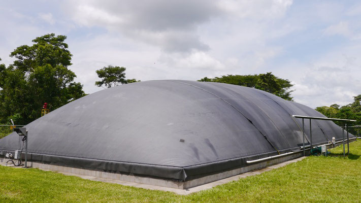 Biodigestor en industria de lácteos - covered lagoon digester for dairy waste and wastewater