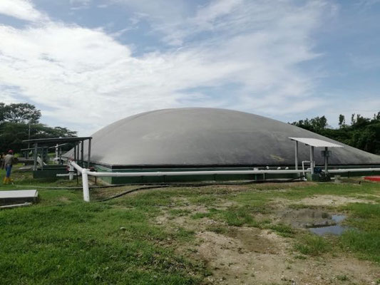 Biodigestor en matadero - rastro - frigorifico de reses - Biodigestor en matadero de reses - cerdos - covered lagoon digester for slaughterhouse waste