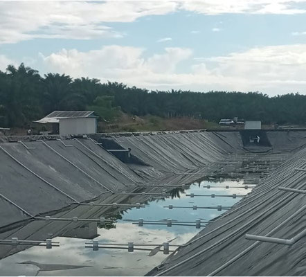 Proyecto Chiquibul - Aprovechamiento de POME Guatemala - Biodigestor - BIOGAS Aqualimpia Engineering / Alemania