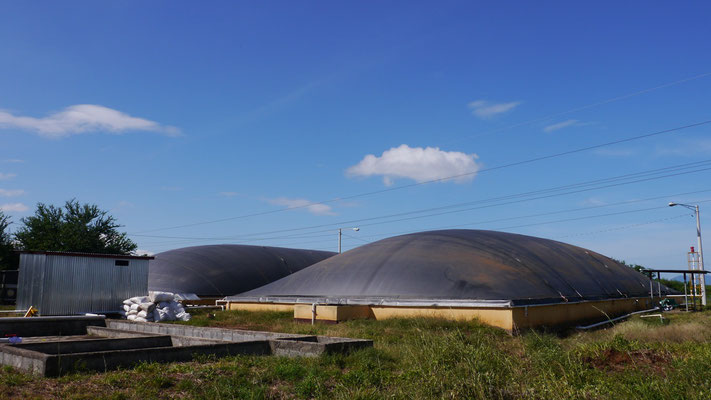 Biodigestor Protena - fábrica de plasma - Nicaragua