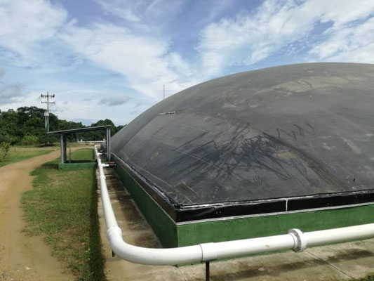 Biodigestor en matadero - rastro - frigorifico de reses - Biodigestor en matadero de reses - cerdos - covered lagoon digester for slaughterhouse waste