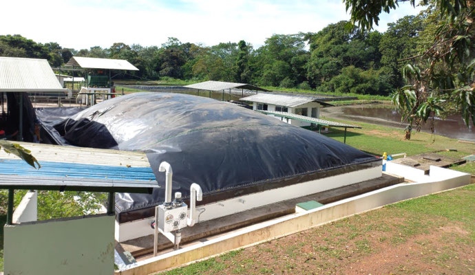 Biodigestor en matadero de cerdos - Aqualimpia Engineering e.K. - Alemania - biogas