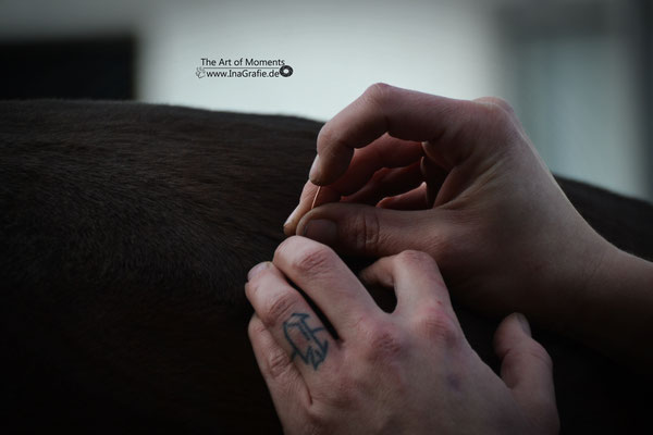 Akupunktur regt das Qi an und unterstützt das Immunsystem - Foto "The Art of Moments"