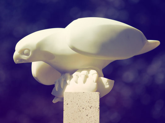 Wanderfalke / Marmor / Andreas Lindgger