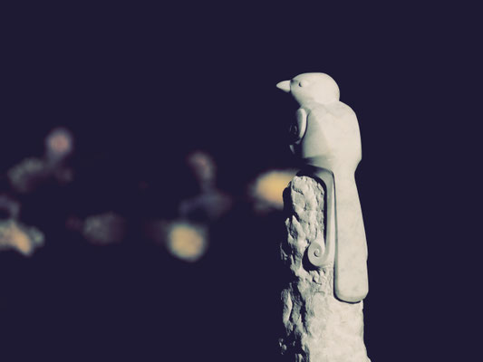 Paradiesvogel / Marmor / Anna Erdin          