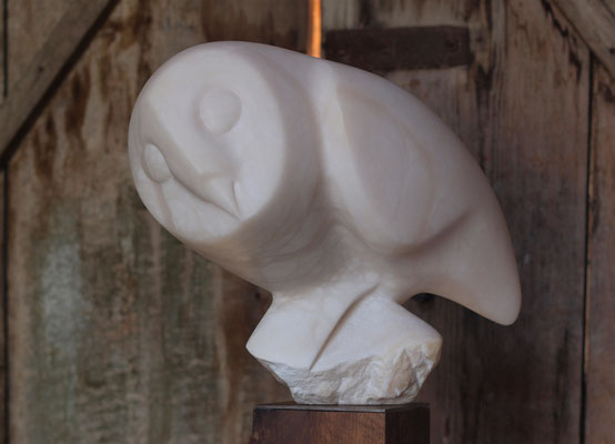 Schleiereule alabaster / Ana Erdin