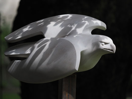 Adler / Kalkstein / Andreas Lindegger