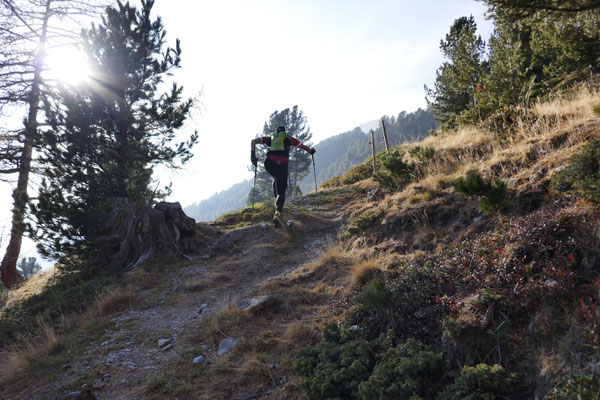 Nach der Matscher Alm recht steil hoch