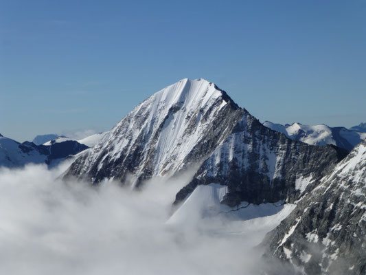 der Nachbar vom KÖNIG Ortler