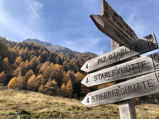 400m nach der Alm gehts links dem Steig Nr. 4 hoch