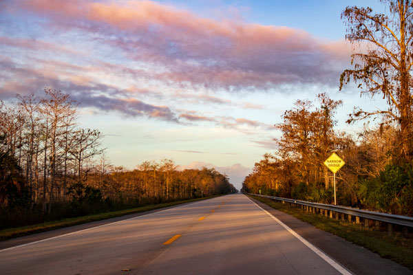 Tamiami trail au lever du soleil (la grande route qui traverse la Floride d'Est en Ouest au nord du Parc des Everglades. Crédit Photo @Laetitia