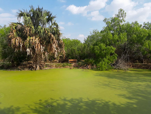 Hugh Ramsey Nature Park.