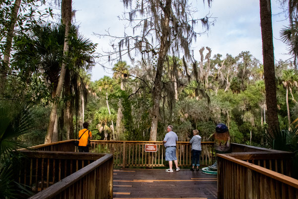 Blue Spring State Park Crédit photo@Laetitia