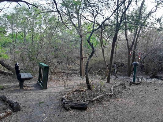 Le petit banc pour les papis/mamies birders en face des mangeoires ! Hugh Ramsey Nature Park.
