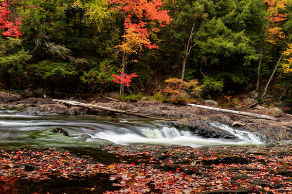 Raquette river Crédit Photo @Laëtitia