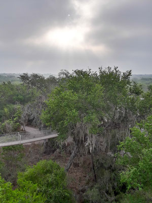 Les tours de comptage des rapaces - Santa Ana Wildlife National Refuge