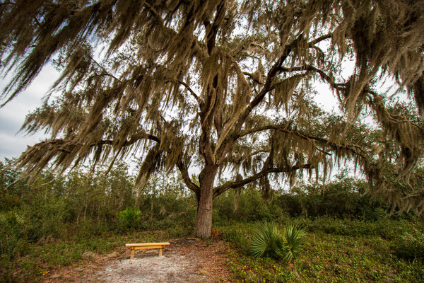 Pine Island Trail Crédit photo@Ulysse