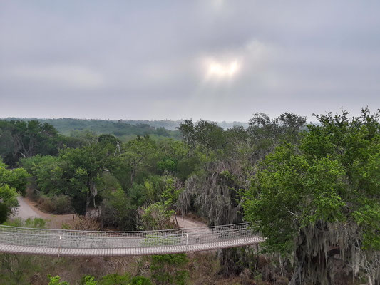 Les tours de comptage des rapaces - Santa Ana Wildlife National Refuge