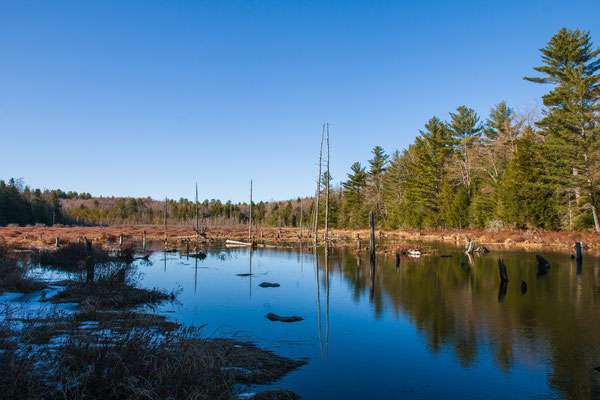 Dyken Pond Crédit photo@Ulysse