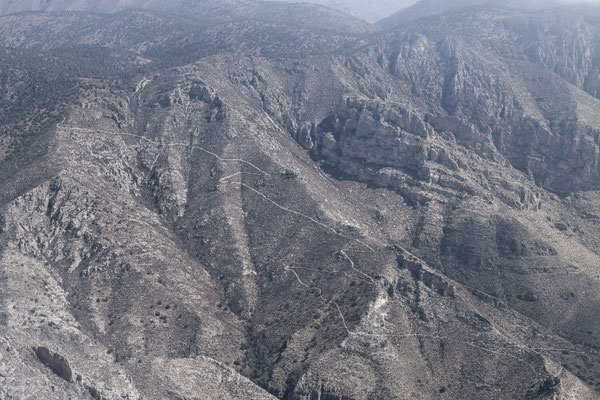 Au sommet du Mont Guadalupe