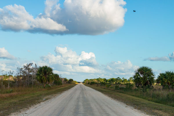 Turner River Road. Crédit photo@Ulysse