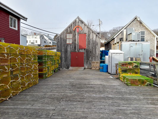 Cage à homards 