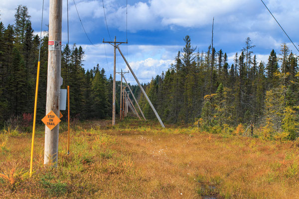 Bloomingdale bog - Crédit photo@Ulysse