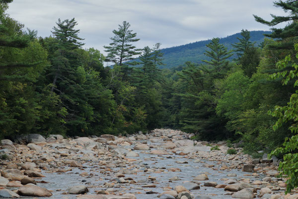 Franconia Falls Trail, NH, USA. Canon EOS 80D, EF 70-300mm f/4-5.6 IS II USM à 70mm, f/10, 1/50 s, 800 ISO