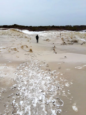 Island Beach State Park, NJ sous la neige