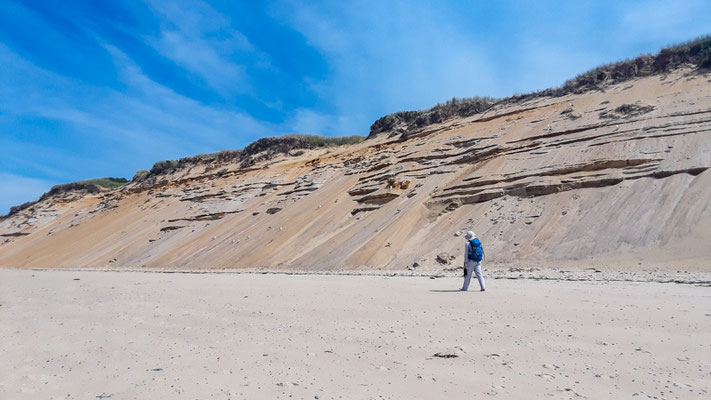 Chemin des dunes. Crédit photo @Laëtitia