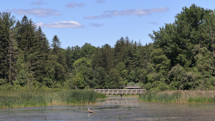 Five rivers, NY, USA. Canon EOS 80D, EF 70-300mm f/4-5.6 IS II USM à 70mm, f/16, 1/100 s, 800 ISO