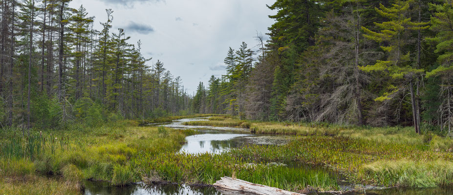 Au bord du lac Massewepie. Crédit photo @Ulysse