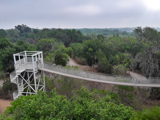 Les tours de comptage des rapaces - Santa Ana Wildlife National Refuge