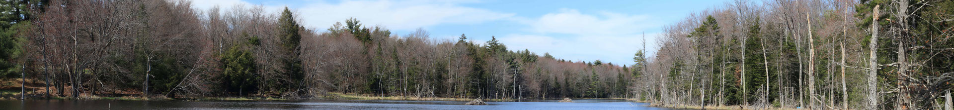 Dyken Pond, NY, USA. Canon EOS 80D, EF 70-300mm f/4-5.6 IS II USM à 70mm, f/10, 1/125s, 300 ISO