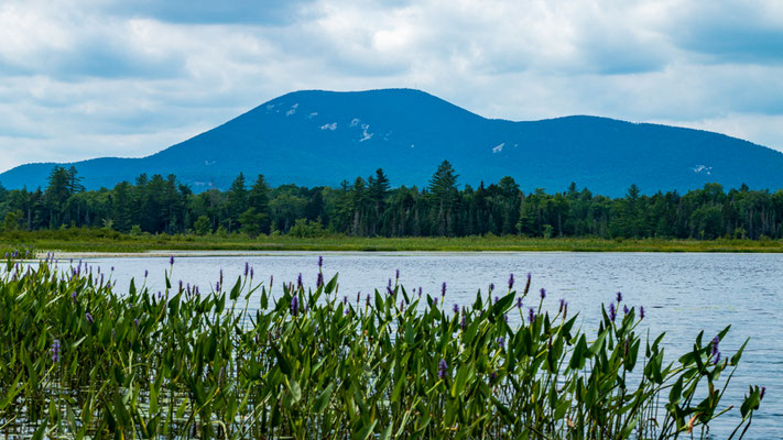 Rock Lake au premier plan et Blue Mountain Lake à l'arrière plan. Crédit Photo @Ulysse