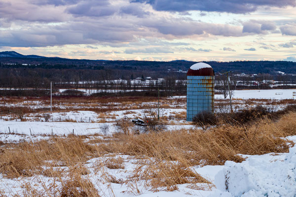 Washington county grasslands (les prairies à hiboux sans hiboux) Crédit photo @Ulysse