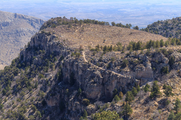 Au sommet du Mont Guadalupe