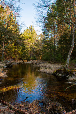 Dyken Pond Crédit photo@Ulysse