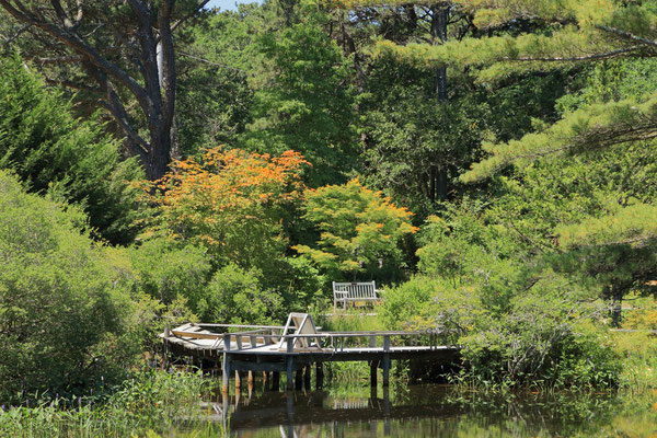 Mytoi Japanese Garden, Chappaquiddick Island, Martha's Vineyard, MA, USA. Canon EOS 80D, EF 70-300mm f/4-5.6 IS II USM à 70mm, f/4.5, 1/400 s, 800 ISO