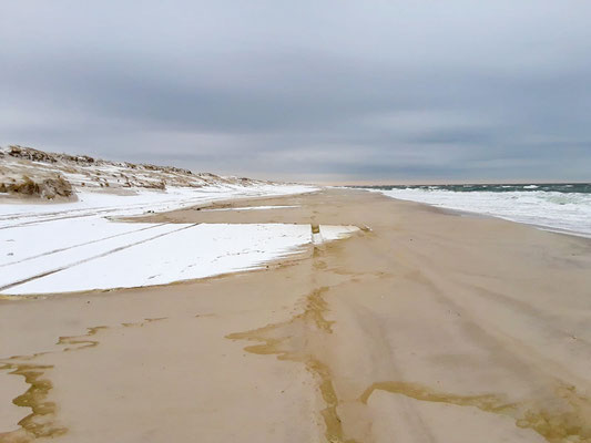 Island Beach State Park, NJ sous la neige